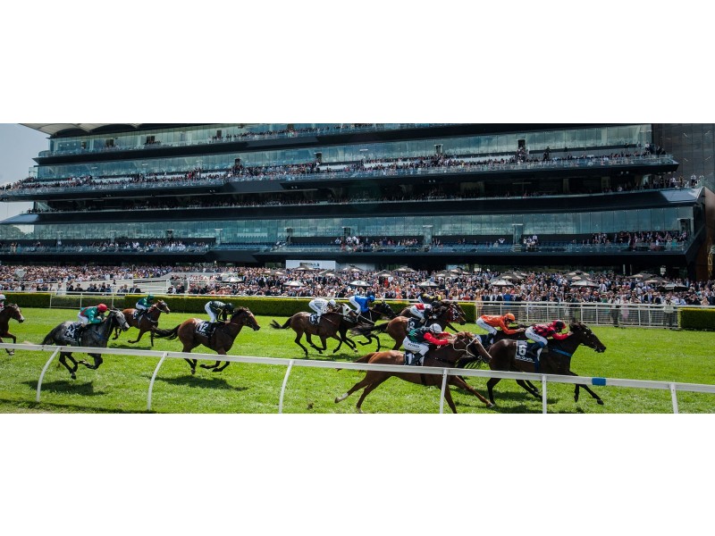 5/221 Avoca Street, Randwick NSW 2031