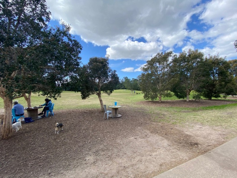 3 Barwon Park Road,, St Peters NSW 2044