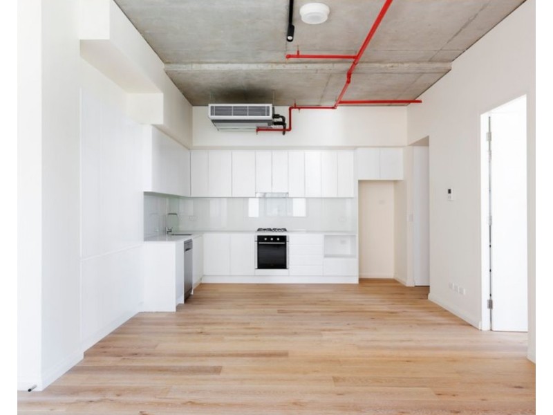 301/3 Barwon Park Road, St Peters NSW 2044