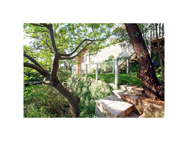 104 Darghan Street, Glebe NSW 2037