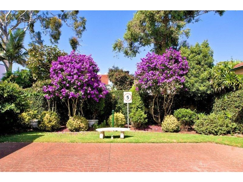 5/146 Alice Street, Newtown NSW 2042