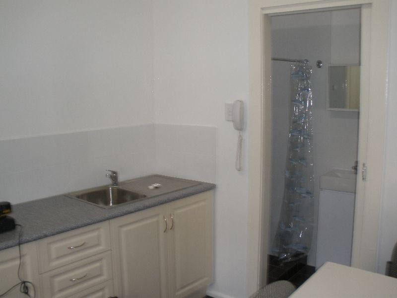 100D Sydenham Road, Marrickville NSW 2204