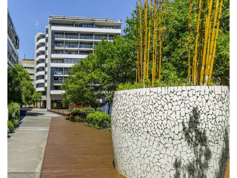 M16/1A Mandible Street, Alexandria NSW 2015