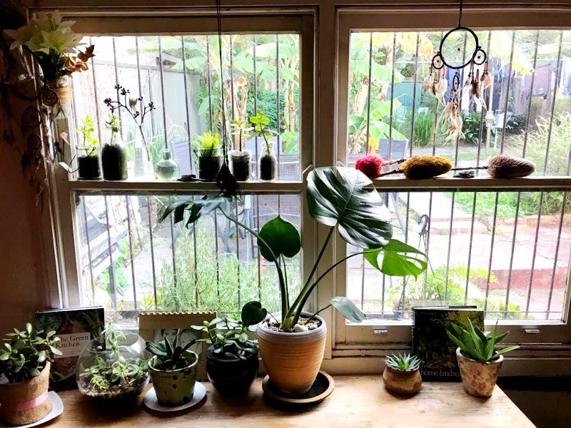 516 Illawarra Road, Marrickville NSW 2204