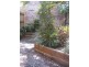 56 Reiby Street, Newtown NSW 2042