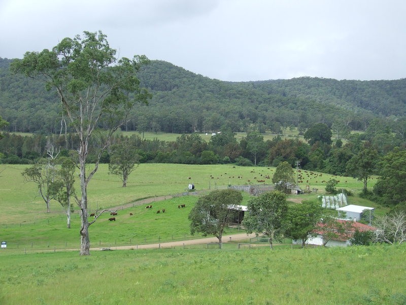 Beechwood NSW 2446