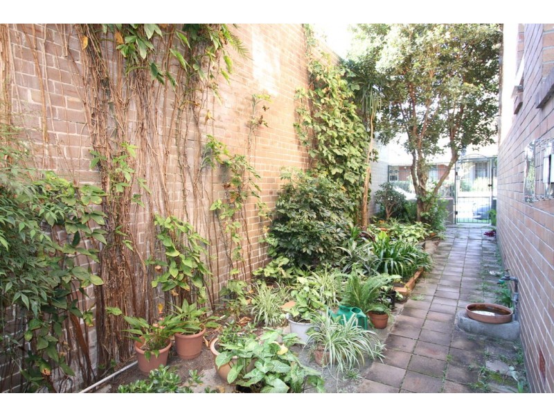 3/147 Australia Street, Camperdown NSW 2050