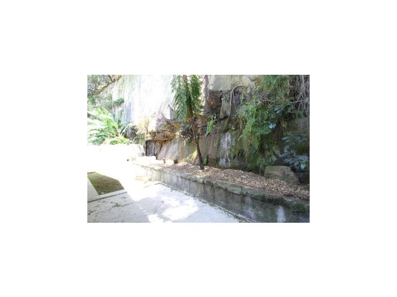 522A Illawarra Road, Marrickville NSW 2204