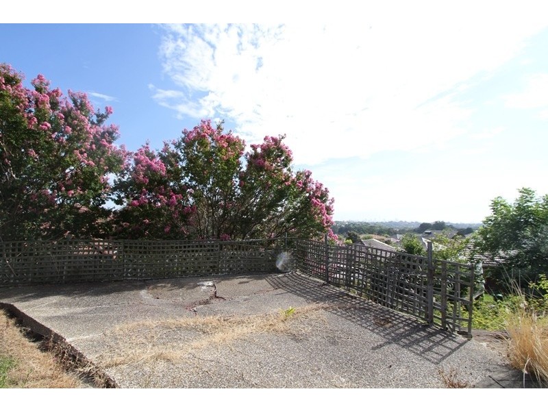 20 Thompson Street, Earlwood NSW 2206