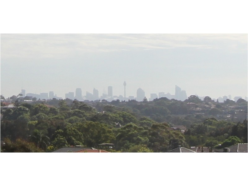 20 Thompson Street, Earlwood NSW 2206