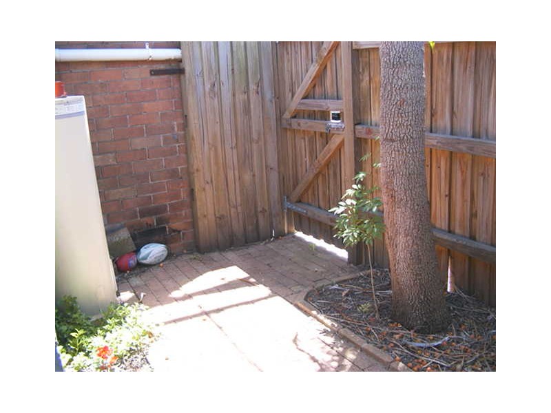64 Prospect Street, Erskineville NSW 2043