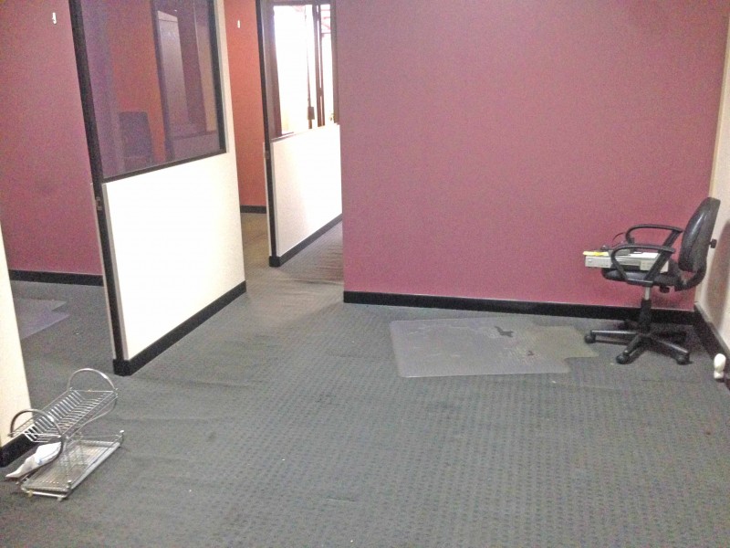556 Parramatta Road, Petersham NSW 2049