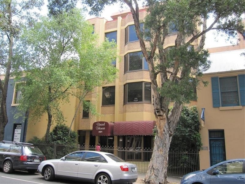 Ground 491 Elizabeth Street, Surry Hills NSW 2010