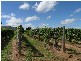 Bundaberg QLD 4670