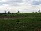 Abbotsford QLD 4670