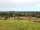 Abbotsford QLD 4670