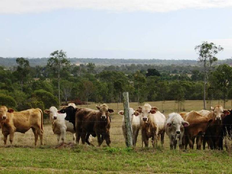 Abbotsford QLD 4670