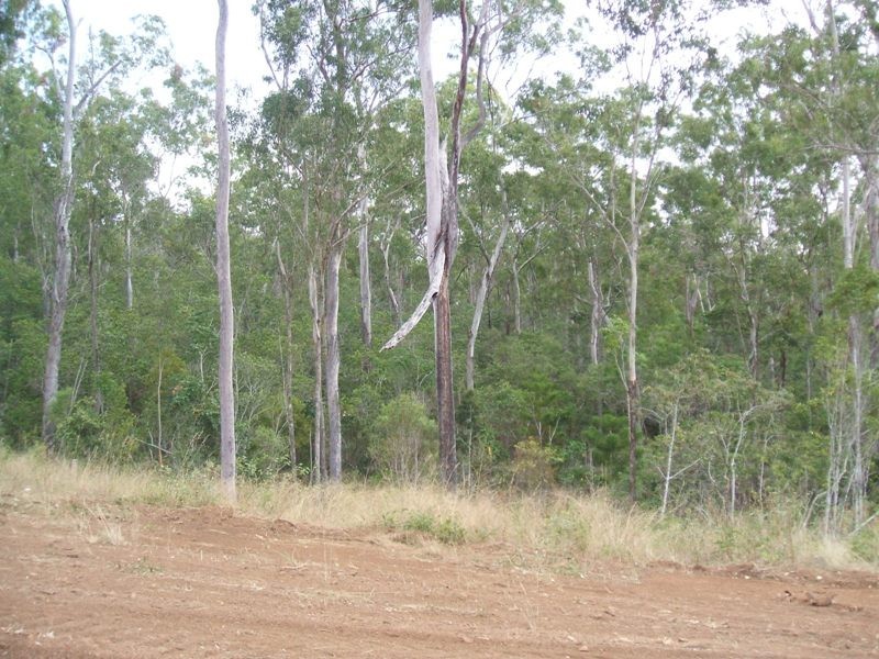 South Bingera QLD 4670