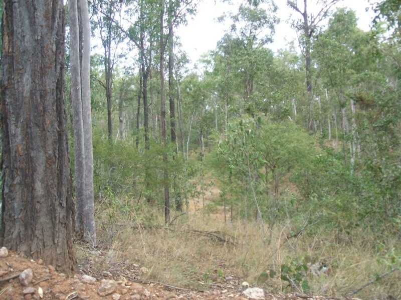 South Bingera QLD 4670