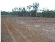 South Bingera QLD 4670