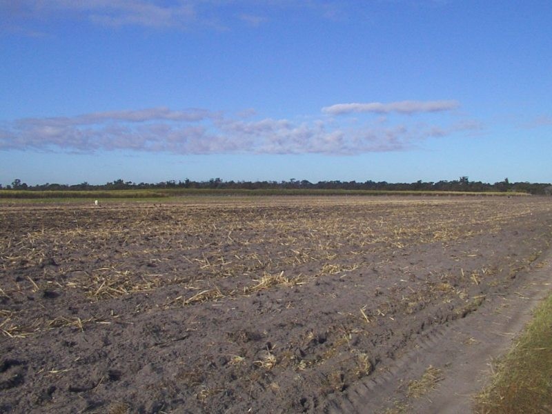 Moore Park Beach QLD 4670