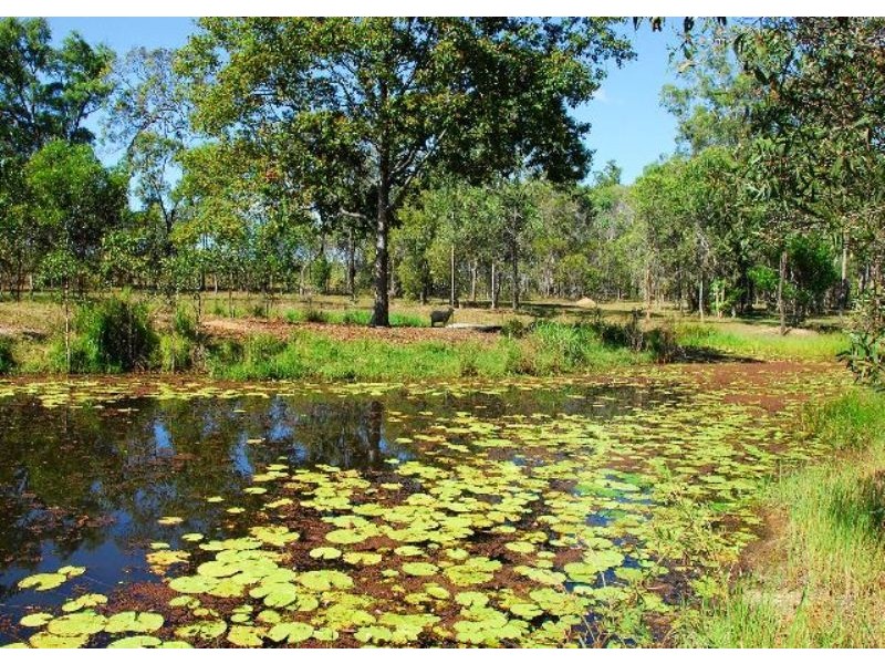 Walkers Point QLD 4650