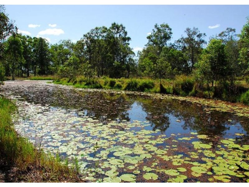 Walkers Point QLD 4650