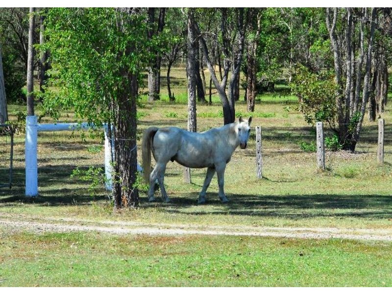 Walkers Point QLD 4650