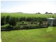 Bargara QLD 4670
