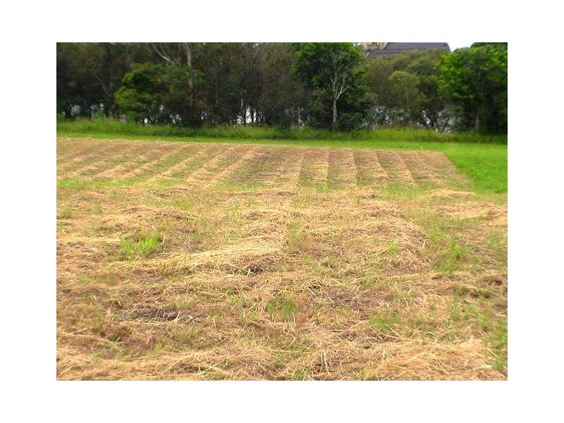 Bundaberg North QLD 4670