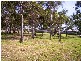 Coral Cove QLD 4670