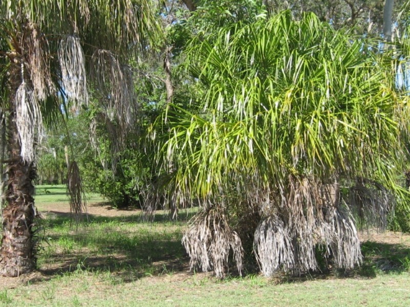 Moore Park Beach QLD 4670