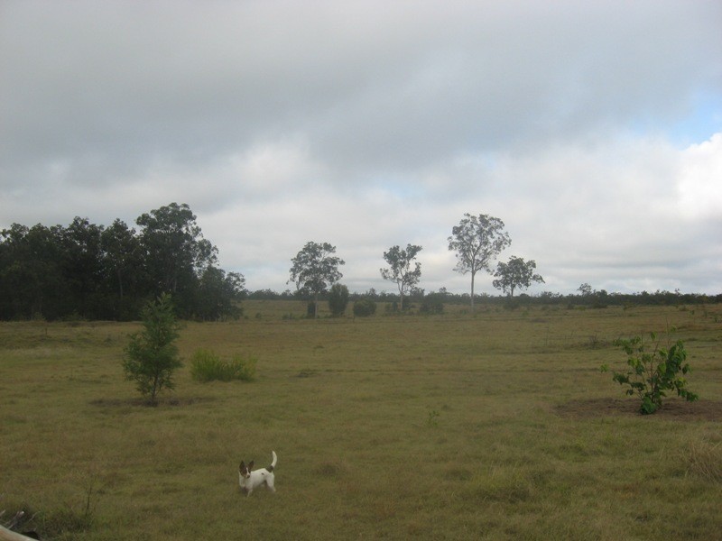 Isis Central QLD 4660