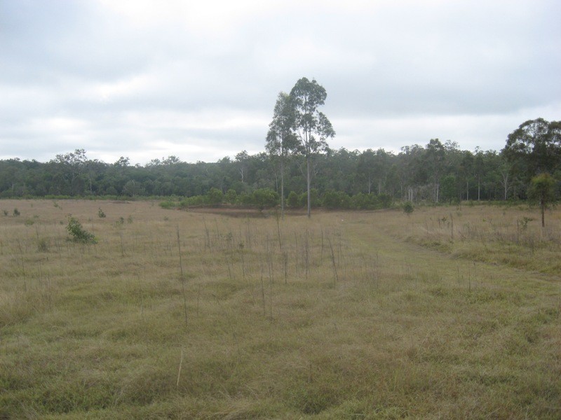 Isis Central QLD 4660