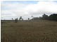 Isis Central QLD 4660