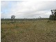 Isis Central QLD 4660