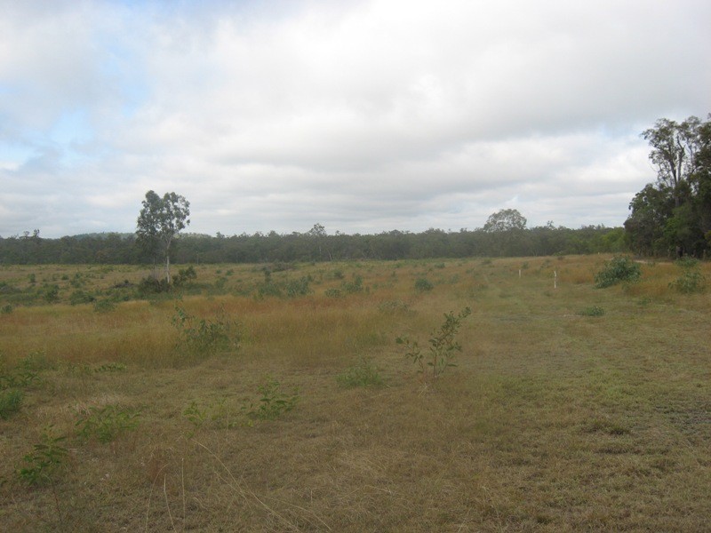 Isis Central QLD 4660