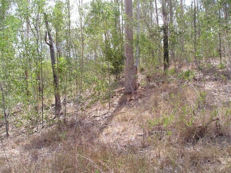 Delan QLD 4671