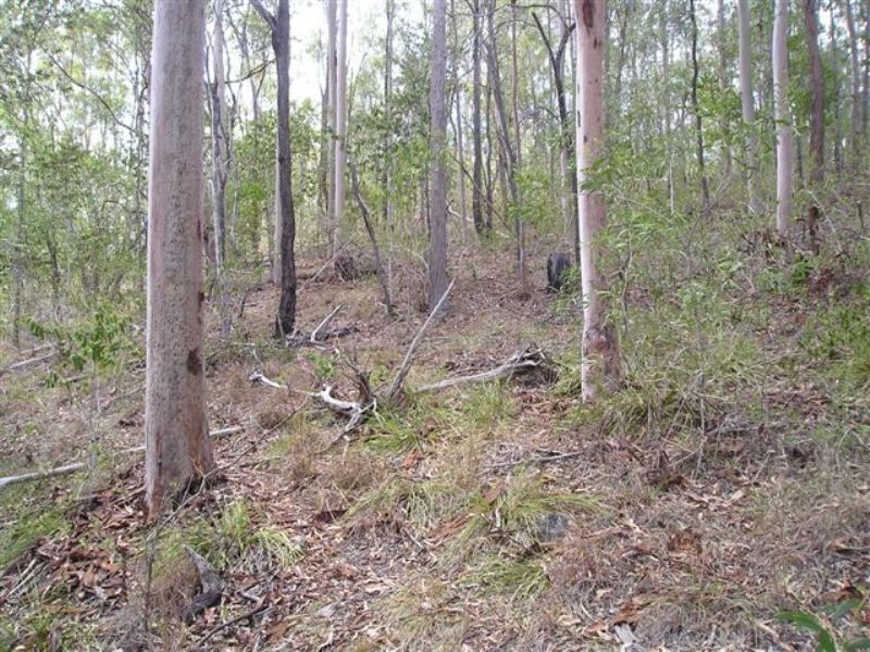 Delan QLD 4671