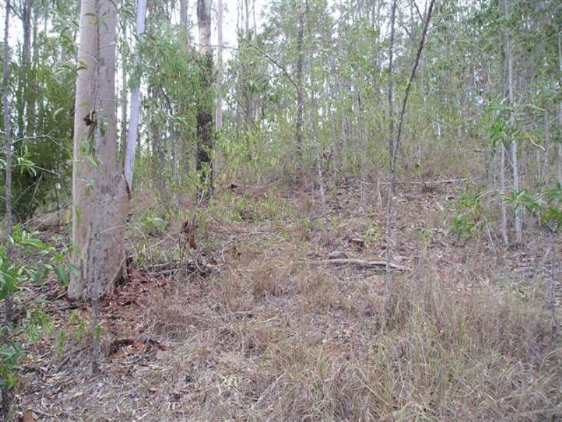 Delan QLD 4671