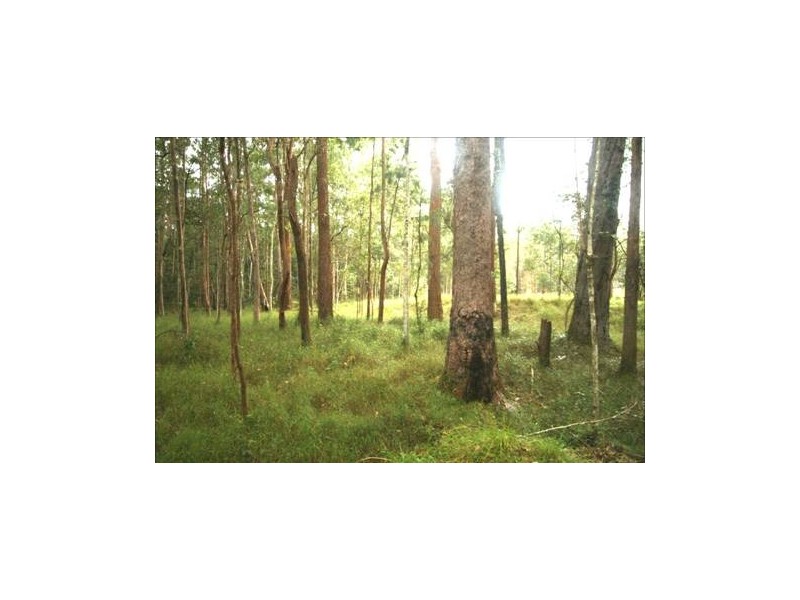 Landsborough QLD 4550