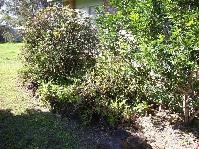 Burnett Heads QLD 4670