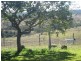 Bundaberg QLD 4670