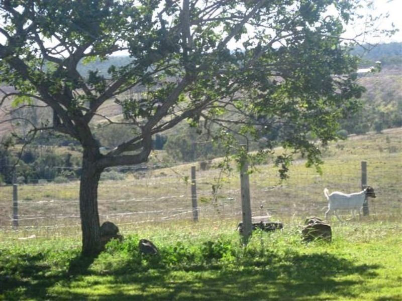 Bundaberg QLD 4670