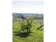 Bundaberg QLD 4670