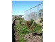 Bundaberg QLD 4670