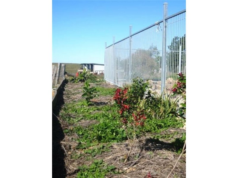Bundaberg QLD 4670