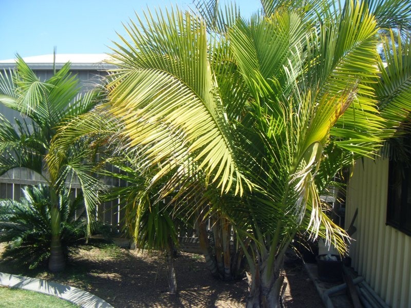 Bundaberg East QLD 4670