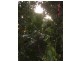 Jubilee Heights QLD 4860