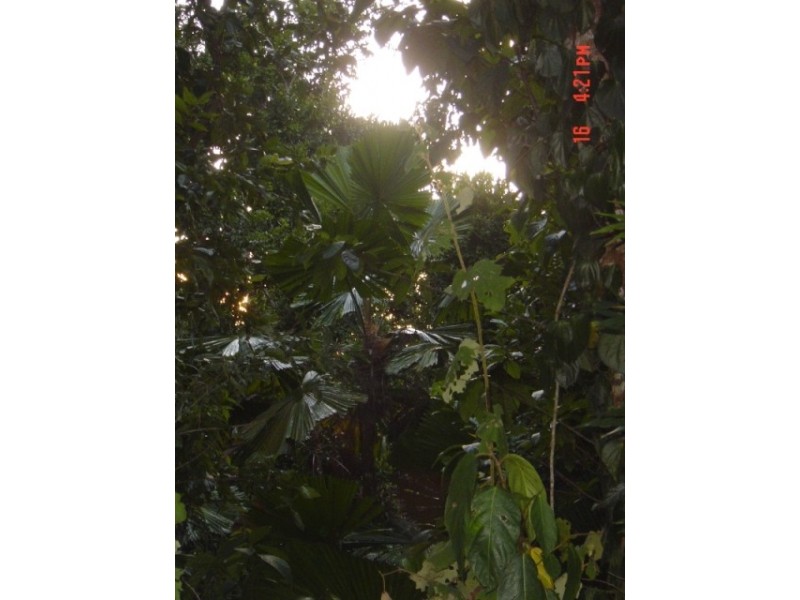 Jubilee Heights QLD 4860